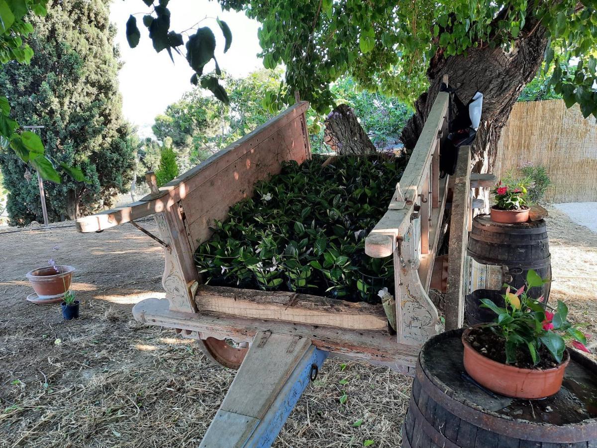 Tenuta Coppa Zuccari Citta Sant'Angelo Dış mekan fotoğraf