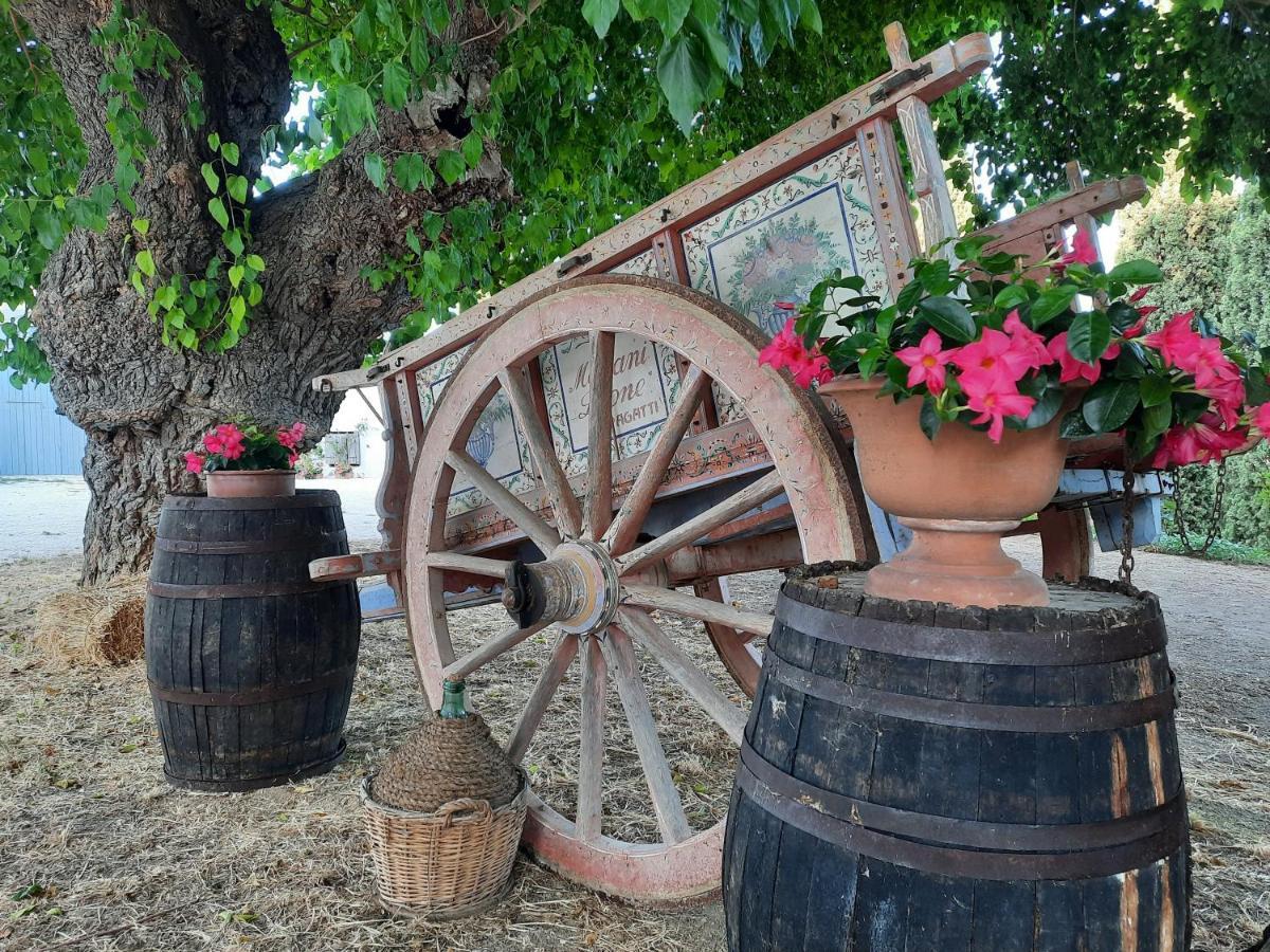 Tenuta Coppa Zuccari Citta Sant'Angelo Dış mekan fotoğraf