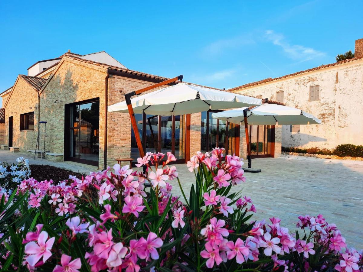 Tenuta Coppa Zuccari Citta Sant'Angelo Dış mekan fotoğraf
