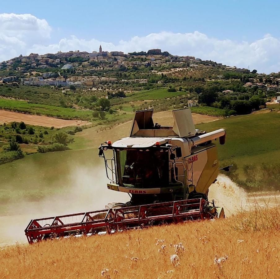 Tenuta Coppa Zuccari Citta Sant'Angelo Dış mekan fotoğraf