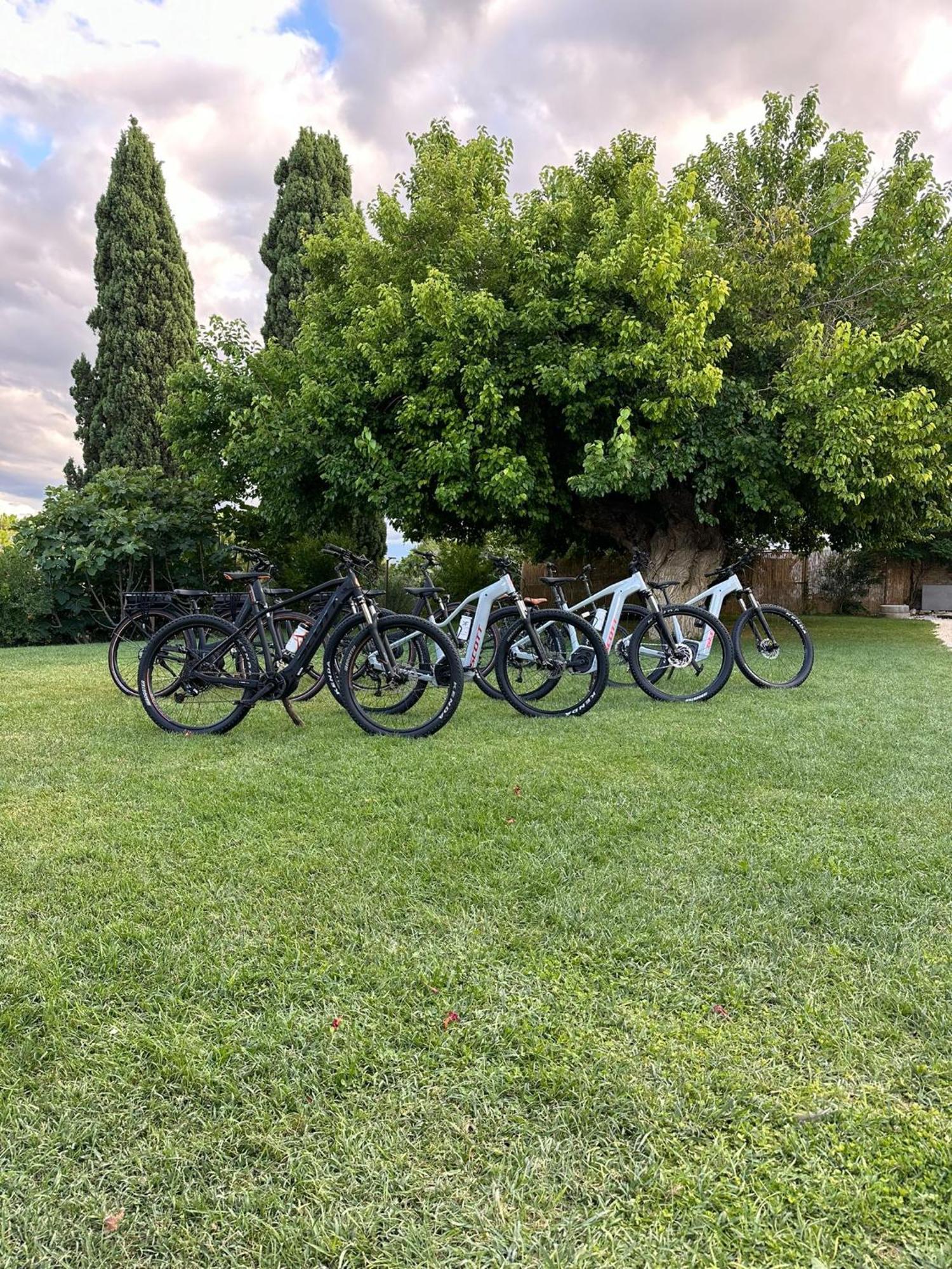 Tenuta Coppa Zuccari Citta Sant'Angelo Dış mekan fotoğraf